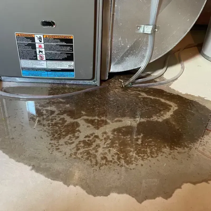 Appliance Leak Cleanup in Cascade Locks, OR